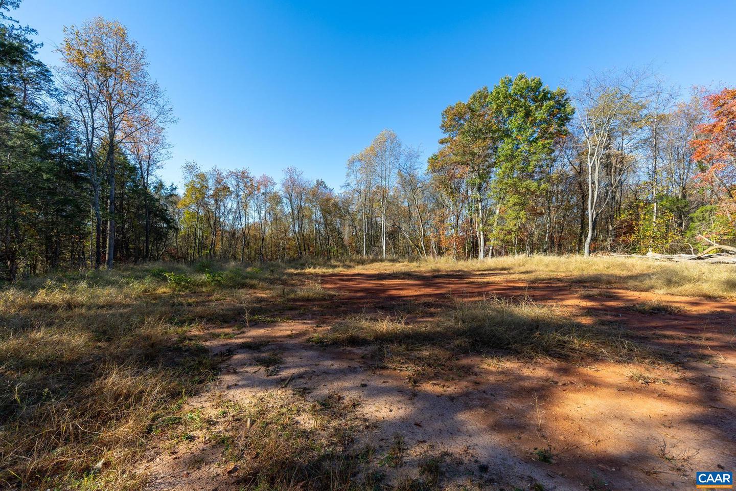 0 SHELBY RD #54 42D, MADISON, Virginia 22727, ,Land,For sale,0 SHELBY RD #54 42D,658258 MLS # 658258