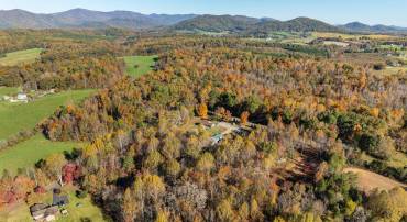 0 SHELBY RD #54 42D, MADISON, Virginia 22727, ,Land,For sale,0 SHELBY RD #54 42D,658258 MLS # 658258