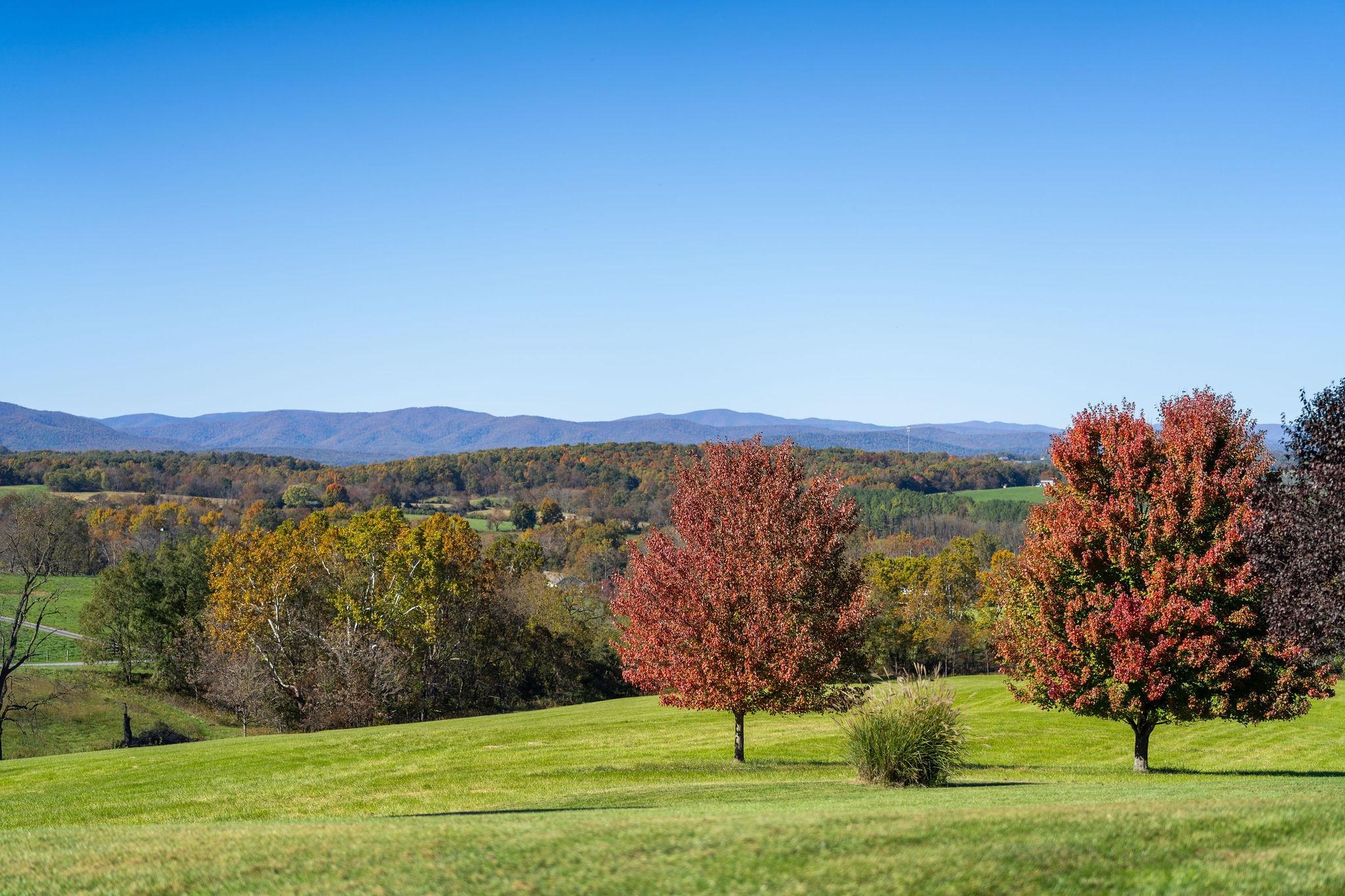 162 TRINITY LN, STAUNTON, Virginia 24401, 4 Bedrooms Bedrooms, ,3 BathroomsBathrooms,Residential,162 TRINITY LN,658253 MLS # 658253