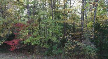 SPOTSWOOD DR, LOCUST GROVE, Virginia 22508, ,Land,For sale,SPOTSWOOD DR,VAOR2008250 MLS # VAOR2008250