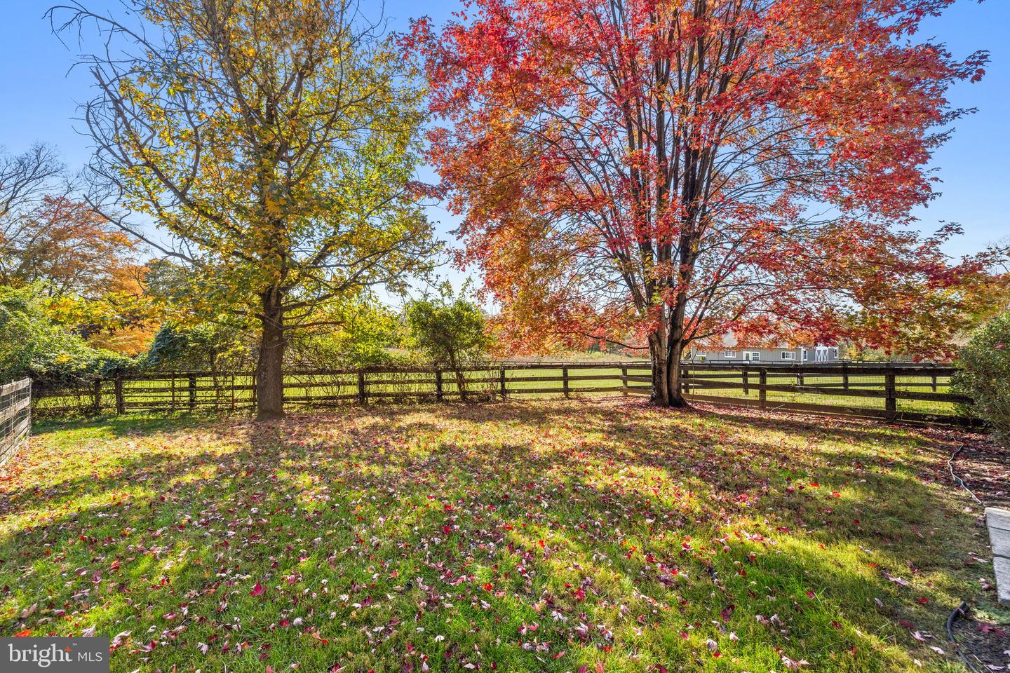 36643 LEITH LN, MIDDLEBURG, Virginia 20117, 4 Bedrooms Bedrooms, ,3 BathroomsBathrooms,Residential,For sale,36643 LEITH LN,VALO2082676 MLS # VALO2082676