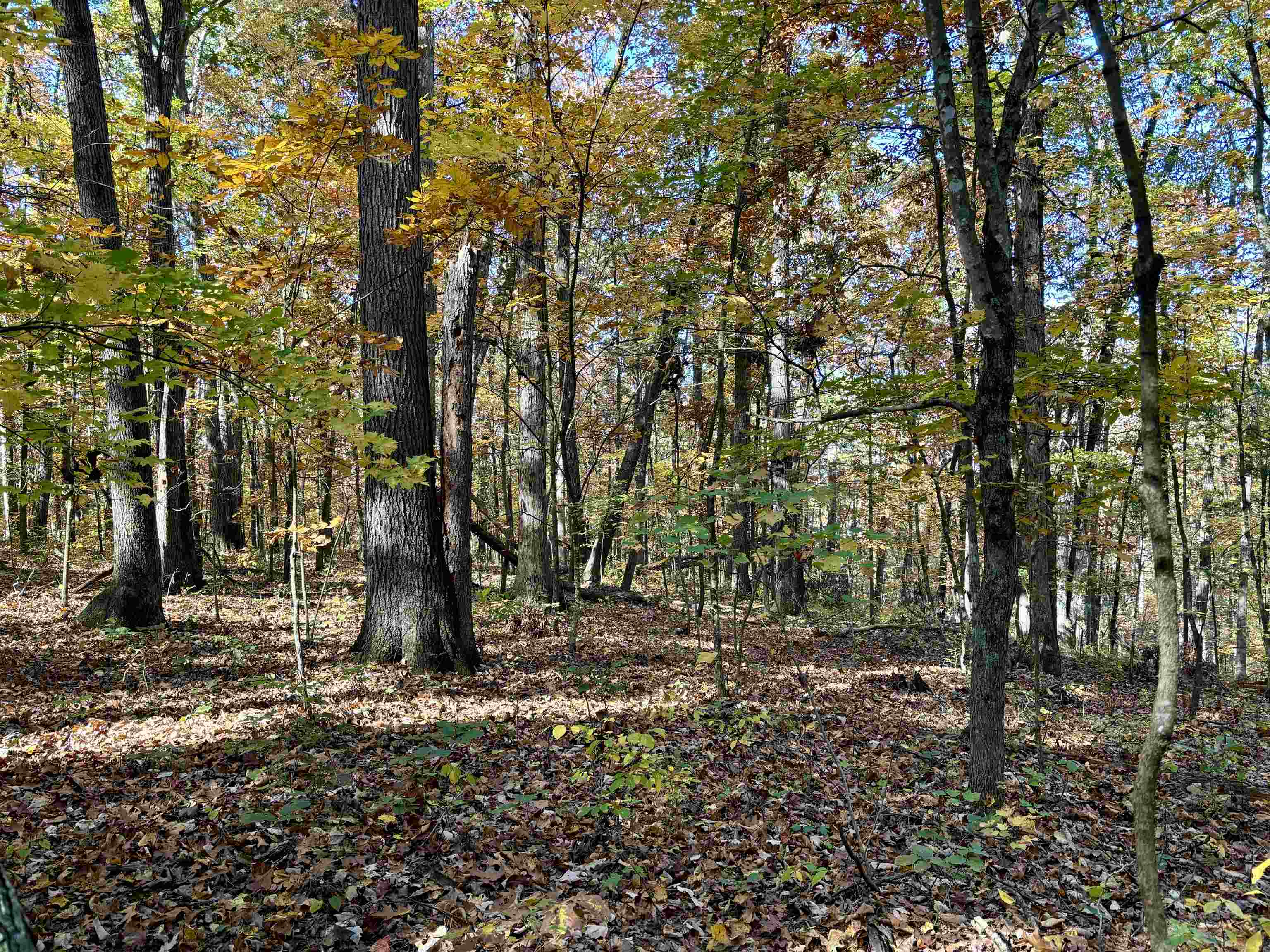 TBD SMITH CREEK RD, NEW MARKET, Virginia 22844, ,Land,TBD SMITH CREEK RD,658282 MLS # 658282