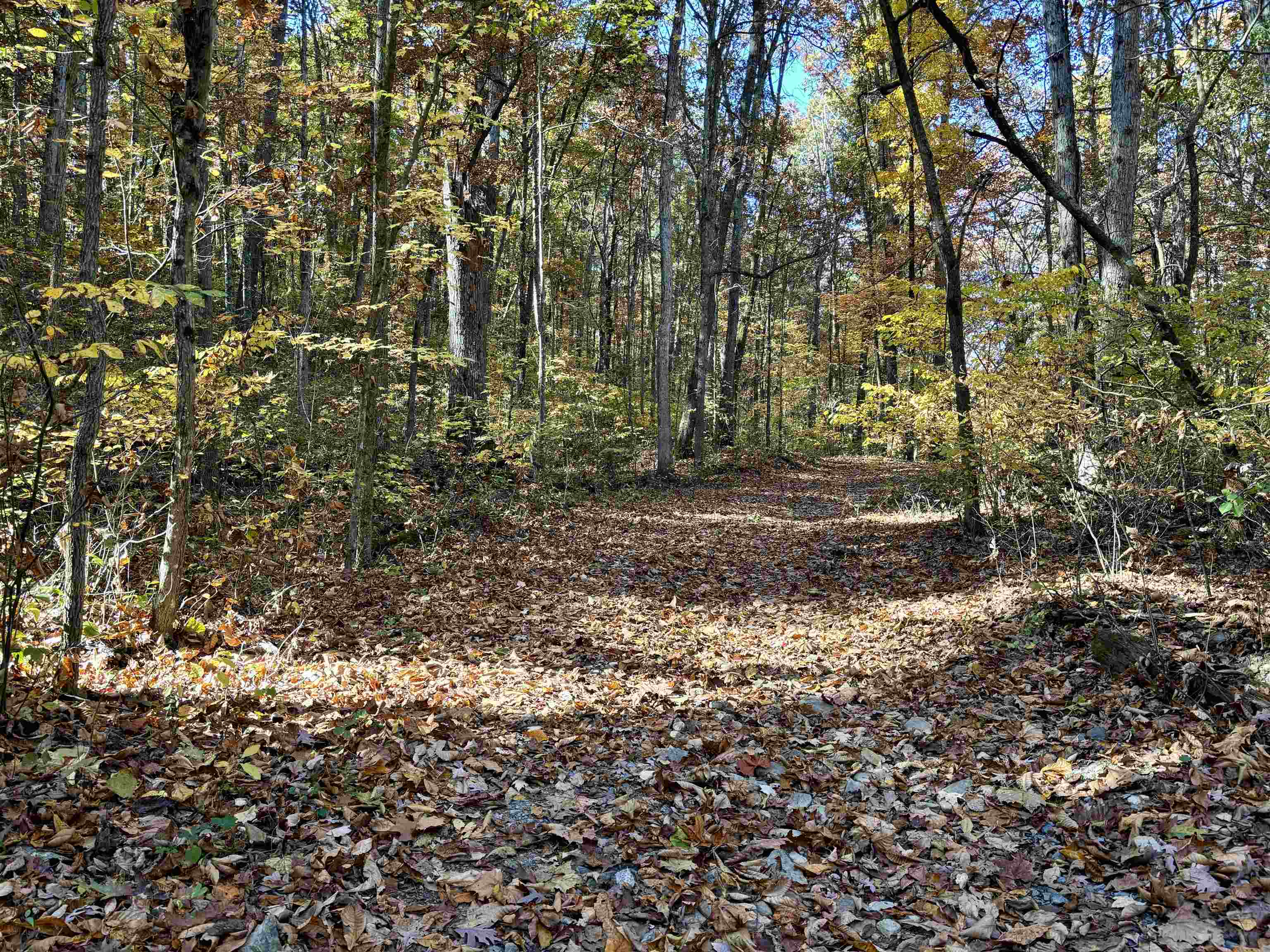 TBD SMITH CREEK RD, NEW MARKET, Virginia 22844, ,Land,TBD SMITH CREEK RD,658282 MLS # 658282