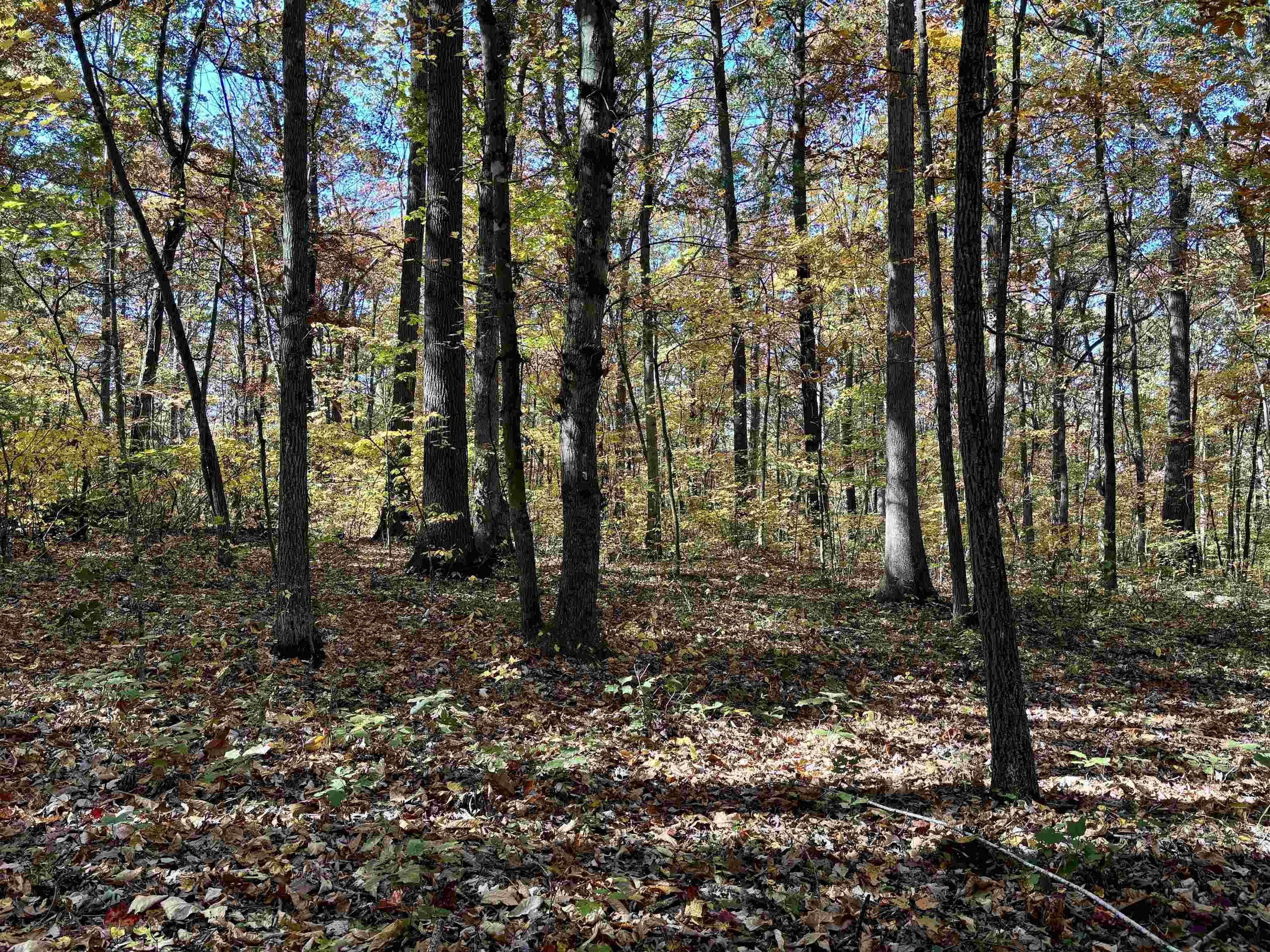 TBD SMITH CREEK RD, NEW MARKET, Virginia 22844, ,Land,TBD SMITH CREEK RD,658282 MLS # 658282