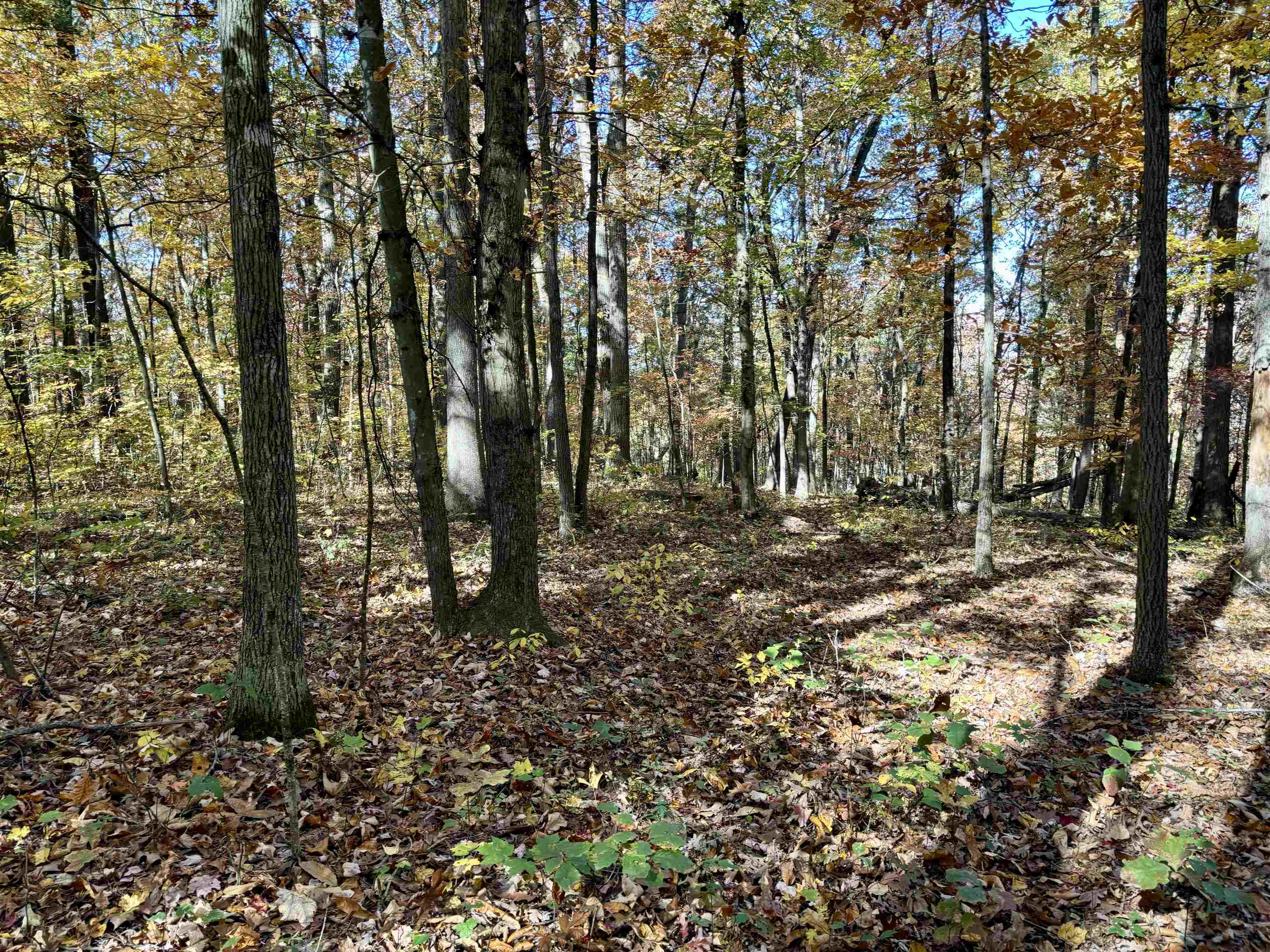 TBD SMITH CREEK RD, NEW MARKET, Virginia 22844, ,Land,TBD SMITH CREEK RD,658282 MLS # 658282