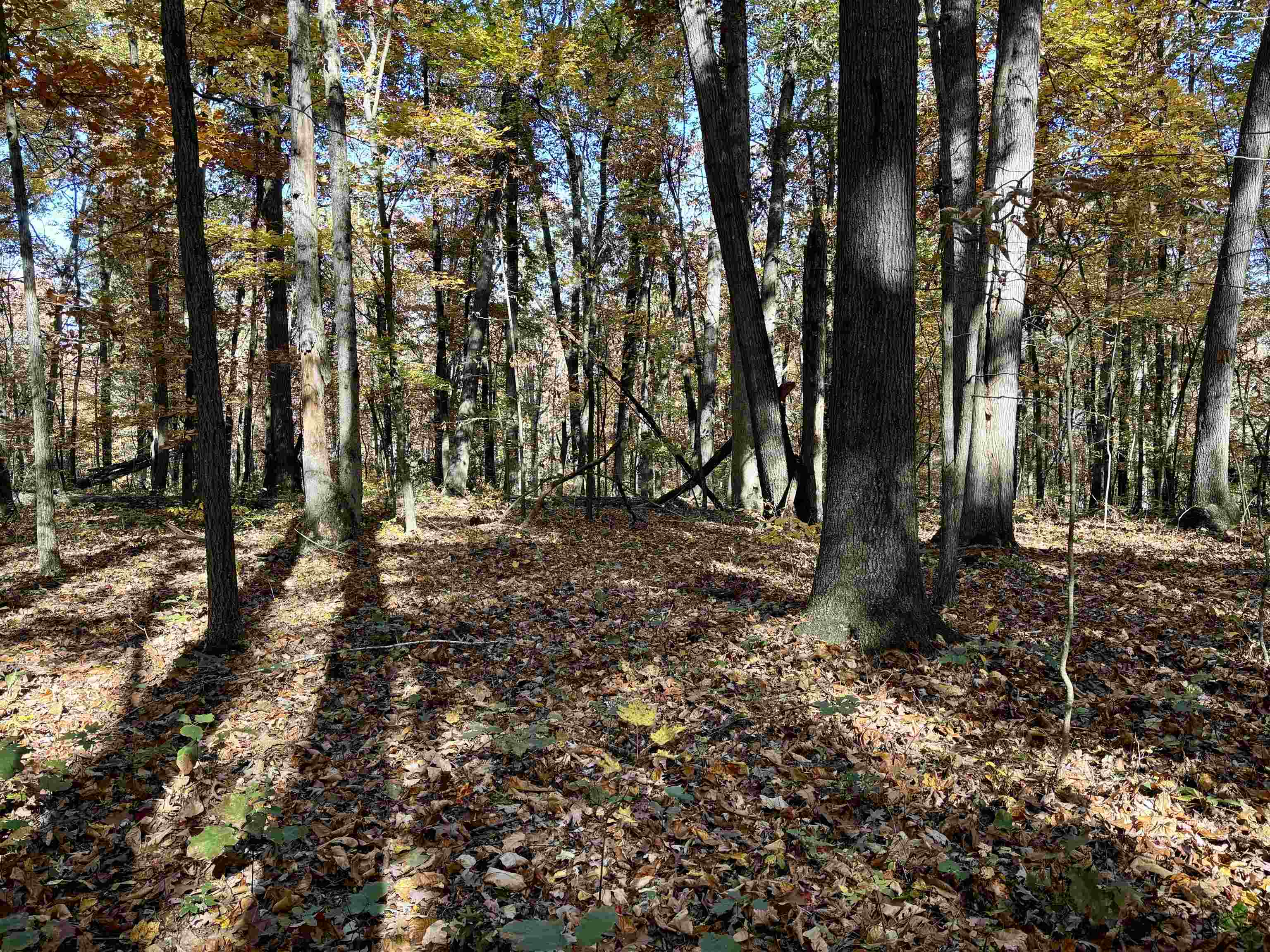 TBD SMITH CREEK RD, NEW MARKET, Virginia 22844, ,Land,TBD SMITH CREEK RD,658282 MLS # 658282