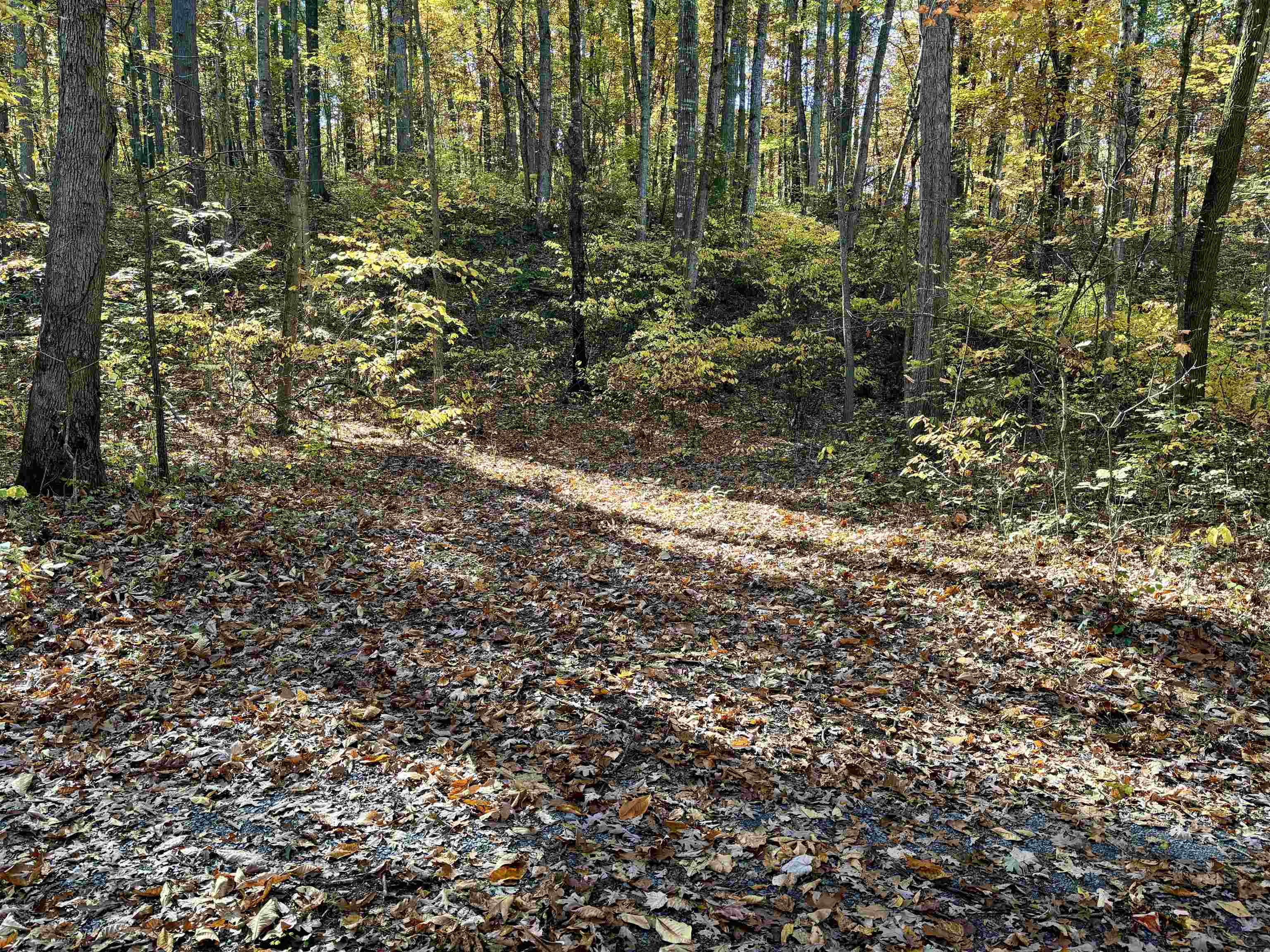 TBD SMITH CREEK RD, NEW MARKET, Virginia 22844, ,Land,TBD SMITH CREEK RD,658282 MLS # 658282