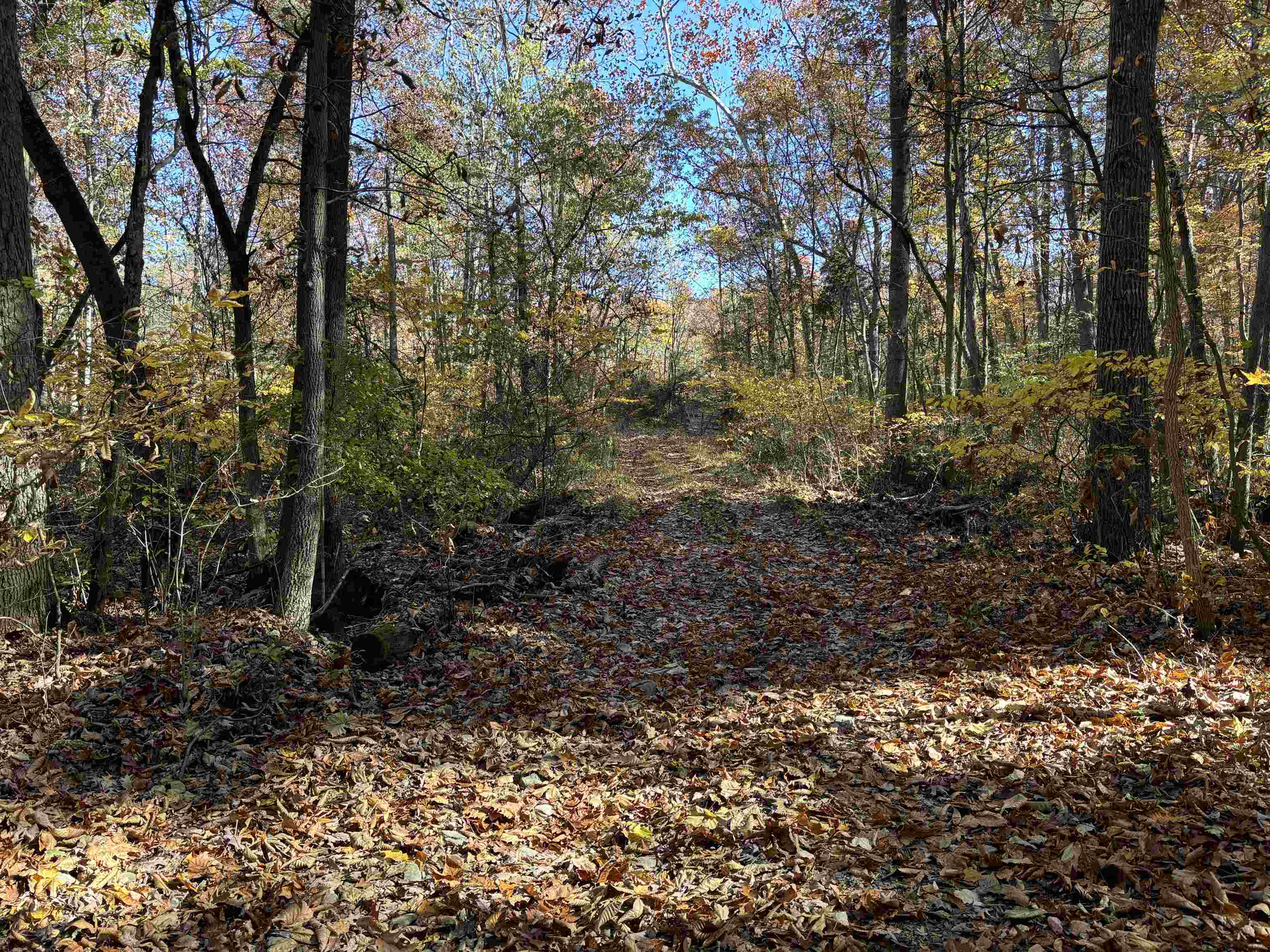 TBD SMITH CREEK RD, NEW MARKET, Virginia 22844, ,Land,TBD SMITH CREEK RD,658282 MLS # 658282