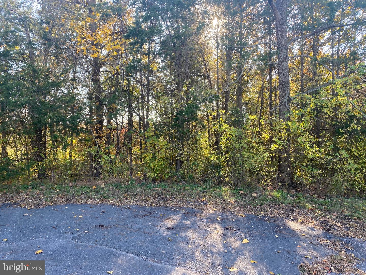 6200 JULIAN LN E, MINERAL, Virginia 23117, ,Land,For sale,6200 JULIAN LN E,VASP2028832 MLS # VASP2028832