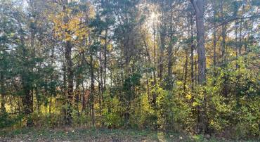 6200 JULIAN LN E, MINERAL, Virginia 23117, ,Land,For sale,6200 JULIAN LN E,VASP2028832 MLS # VASP2028832