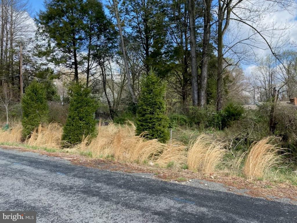 1037 SPRINGVALE RD #LOT 39C, GREAT FALLS, Virginia 22066, ,Land,For sale,1037 SPRINGVALE RD #LOT 39C,VAFX2208044 MLS # VAFX2208044