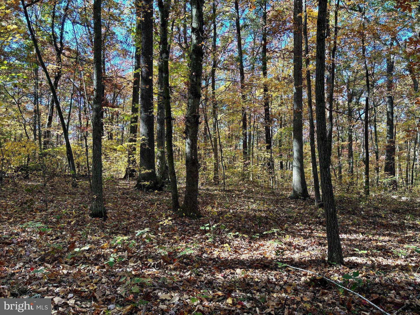 TBD SMITH CREEK RD, NEW MARKET, Virginia 22844, ,Land,For sale,TBD SMITH CREEK RD,VASH2009958 MLS # VASH2009958