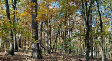 TBD SMITH CREEK RD, NEW MARKET, Virginia 22844, ,Land,For sale,TBD SMITH CREEK RD,VASH2009958 MLS # VASH2009958