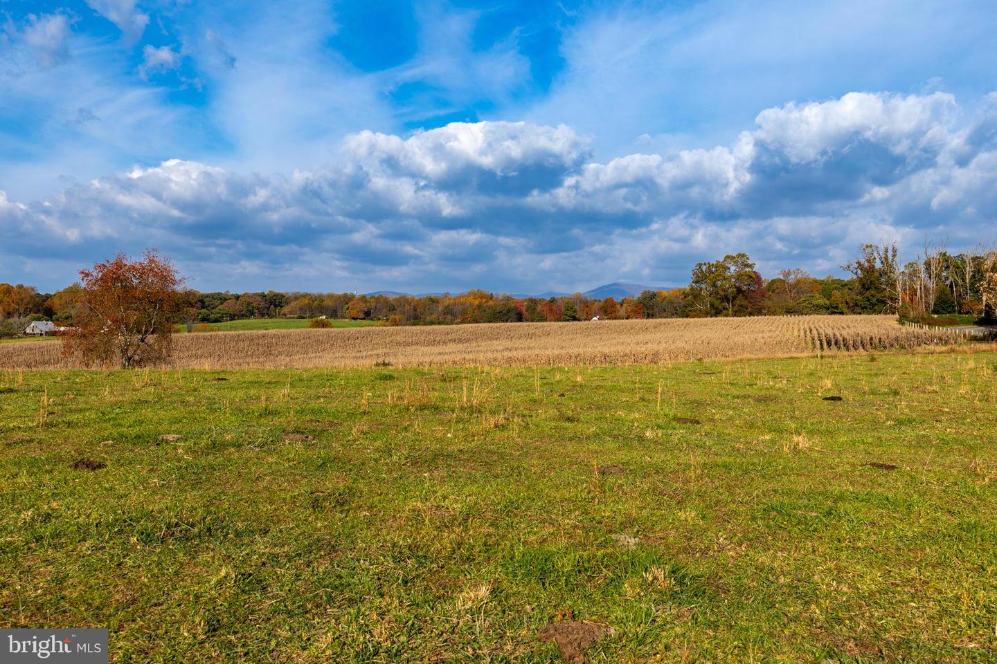 CARPENTERS MILL RD, MADISON, Virginia 22727, ,Farm,For sale,CARPENTERS MILL RD,VAMA2001942 MLS # VAMA2001942