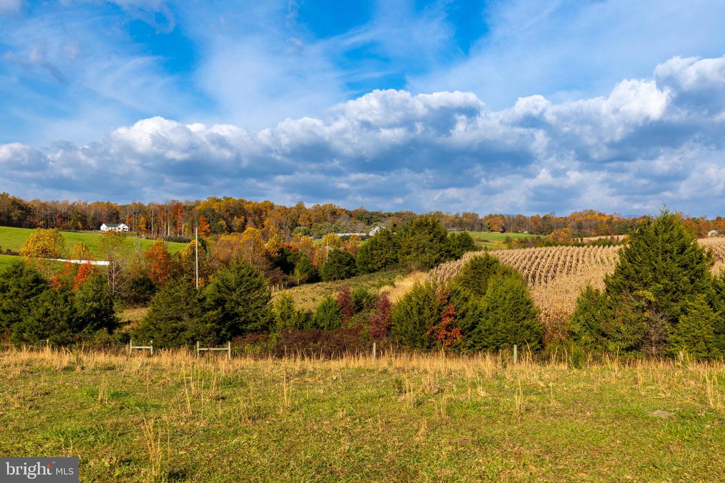 CARPENTERS MILL RD, MADISON, Virginia 22727, ,Farm,For sale,CARPENTERS MILL RD,VAMA2001942 MLS # VAMA2001942