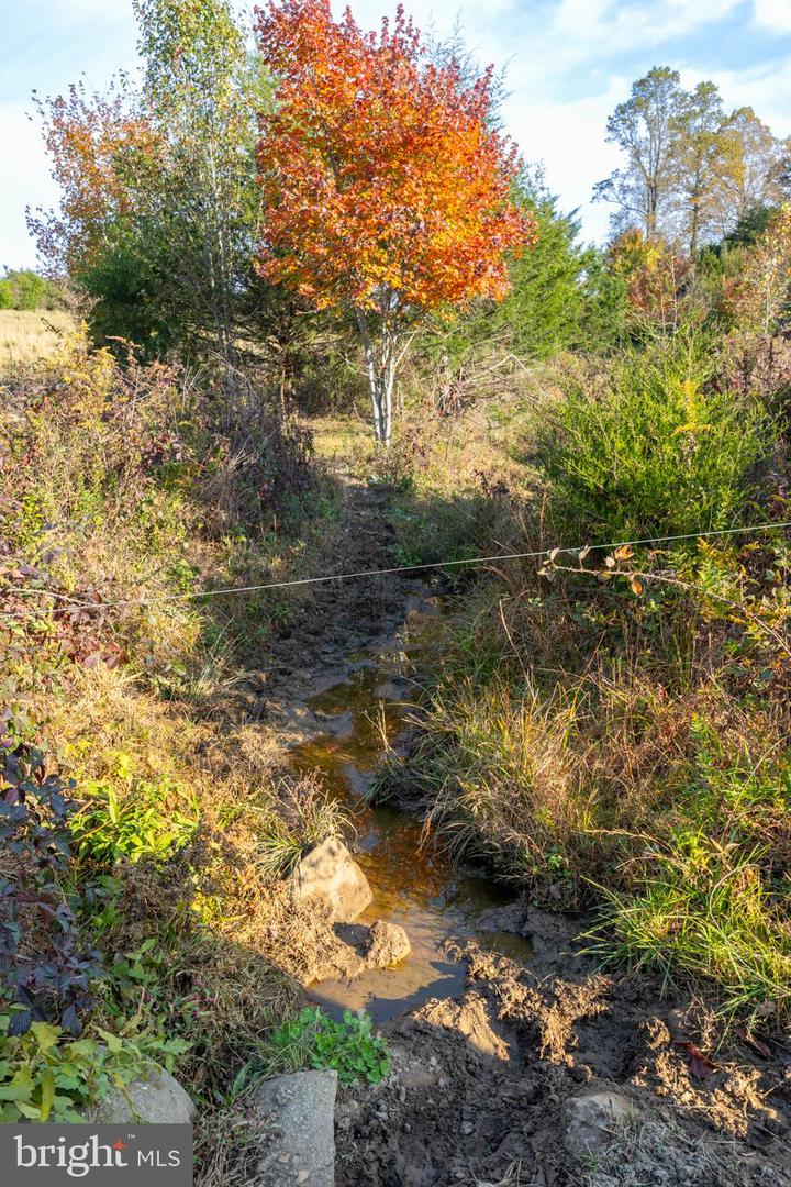 CARPENTERS MILL RD, MADISON, Virginia 22727, ,Farm,For sale,CARPENTERS MILL RD,VAMA2001942 MLS # VAMA2001942