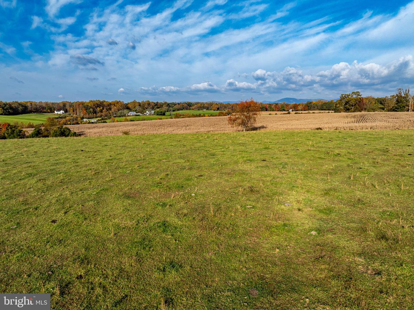 CARPENTERS MILL RD, MADISON, Virginia 22727, ,Farm,For sale,CARPENTERS MILL RD,VAMA2001942 MLS # VAMA2001942