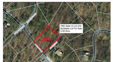 TBD ALDER CT #376, MOUNT JACKSON, Virginia 22842, ,Land,For sale,TBD ALDER CT #376,658299 MLS # 658299