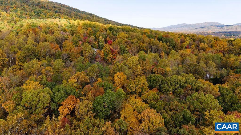 316 STONEY CREEK WEST #50, SECTION E, VALLE, NELLYSFORD, Virginia 22958, ,Land,For sale,316 STONEY CREEK WEST #50, SECTION E, VALLE,658315 MLS # 658315