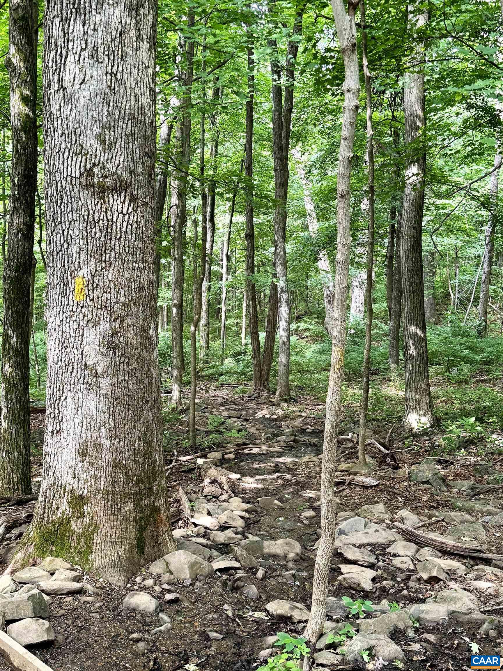 The Lower Shamokin Falls Trail is adjacent to this property.