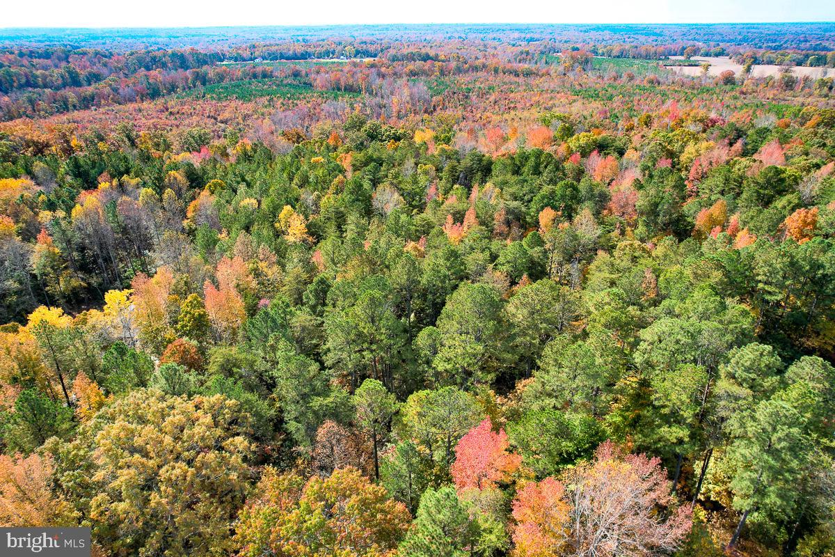 4.913 ACRES SARAH ST, BOWLING GREEN, Virginia 22427, ,Land,For sale,4.913 ACRES SARAH ST,VACV2006964 MLS # VACV2006964