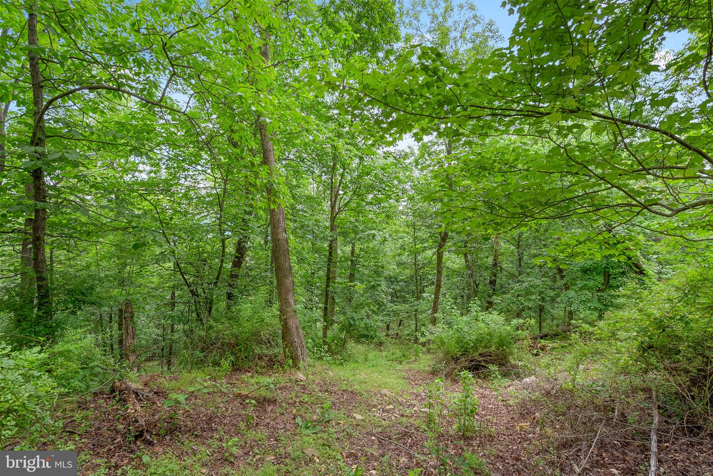 2613 LOOKOUT RD, HAYMARKET, Virginia 20169, ,Land,For sale,2613 LOOKOUT RD,VAPW2082310 MLS # VAPW2082310