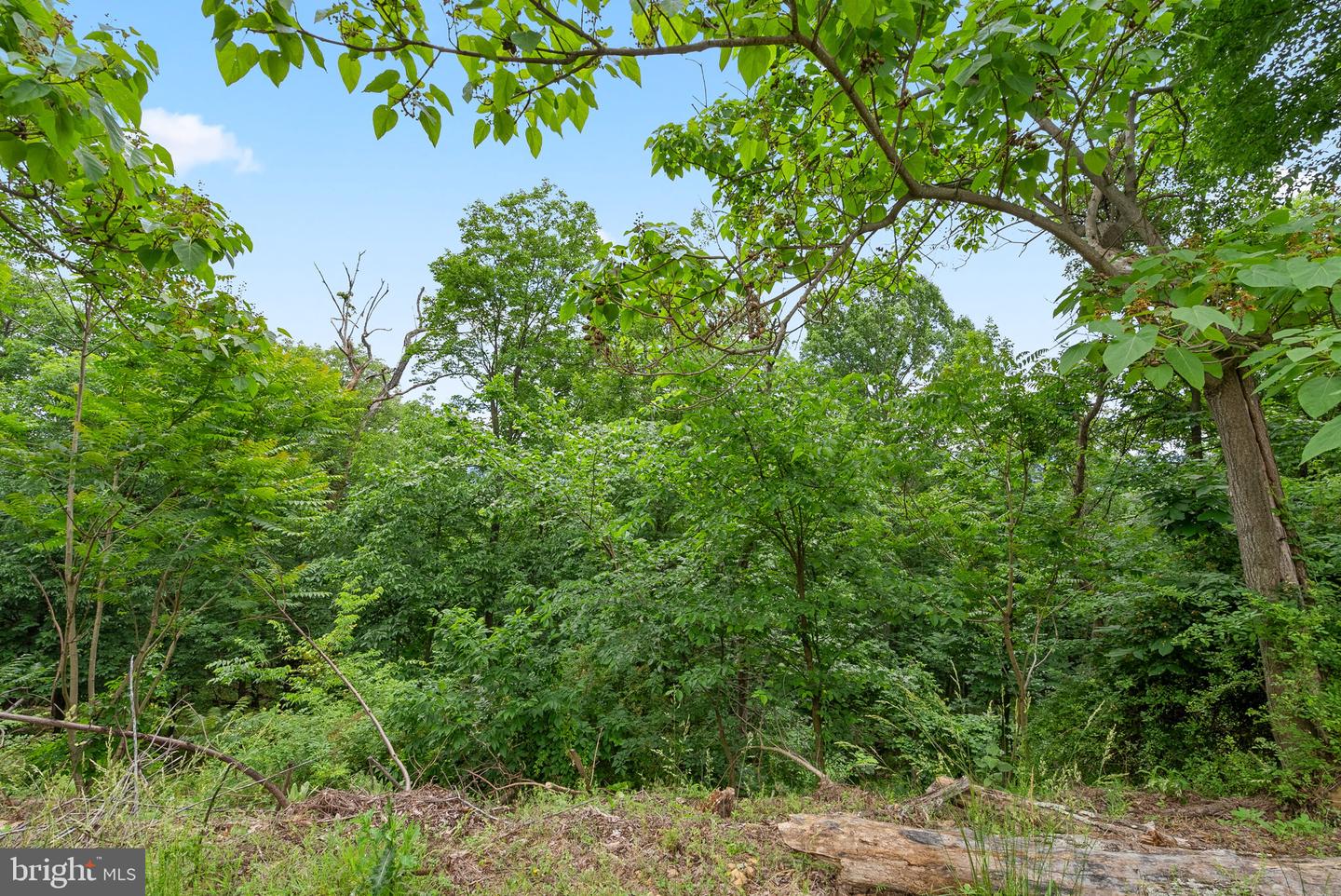 2617 LOOKOUT RD, HAYMARKET, Virginia 20169, ,Land,For sale,2617 LOOKOUT RD,VAPW2082312 MLS # VAPW2082312