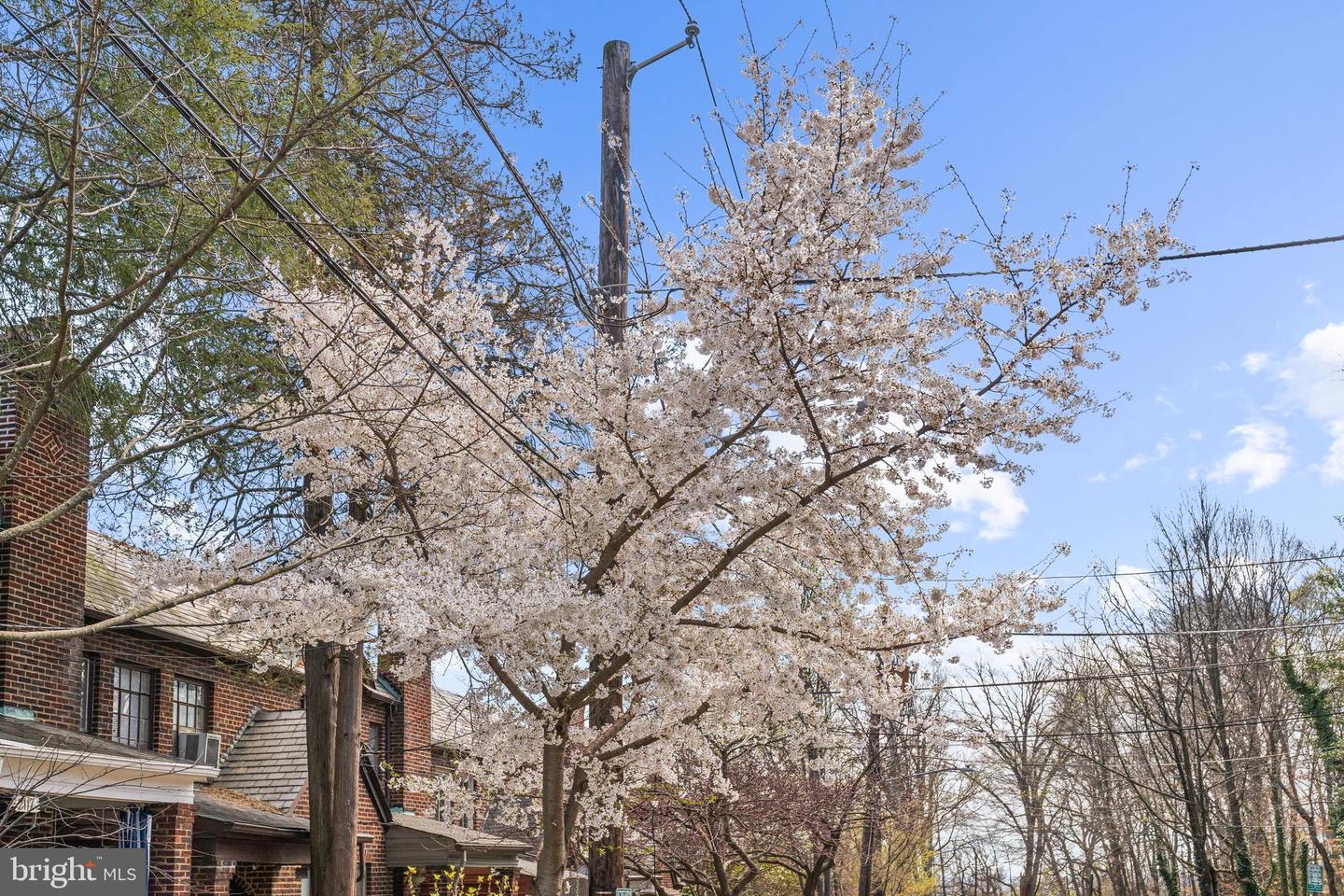 2106 HUIDEKOPER PL NW, WASHINGTON, District Of Columbia 20007, 3 Bedrooms Bedrooms, ,3 BathroomsBathrooms,Residential,For sale,2106 HUIDEKOPER PL NW,DCDC2156000 MLS # DCDC2156000