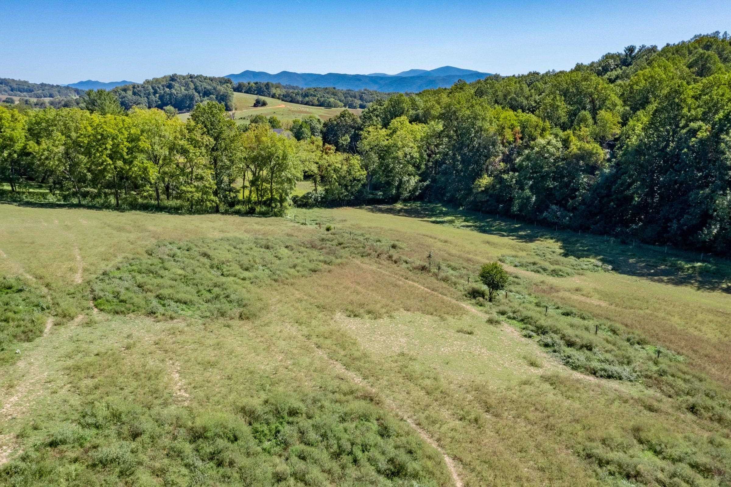 To the East are the Blue Ridge Mtns. You will have seasonal view of the Blue Ridge.