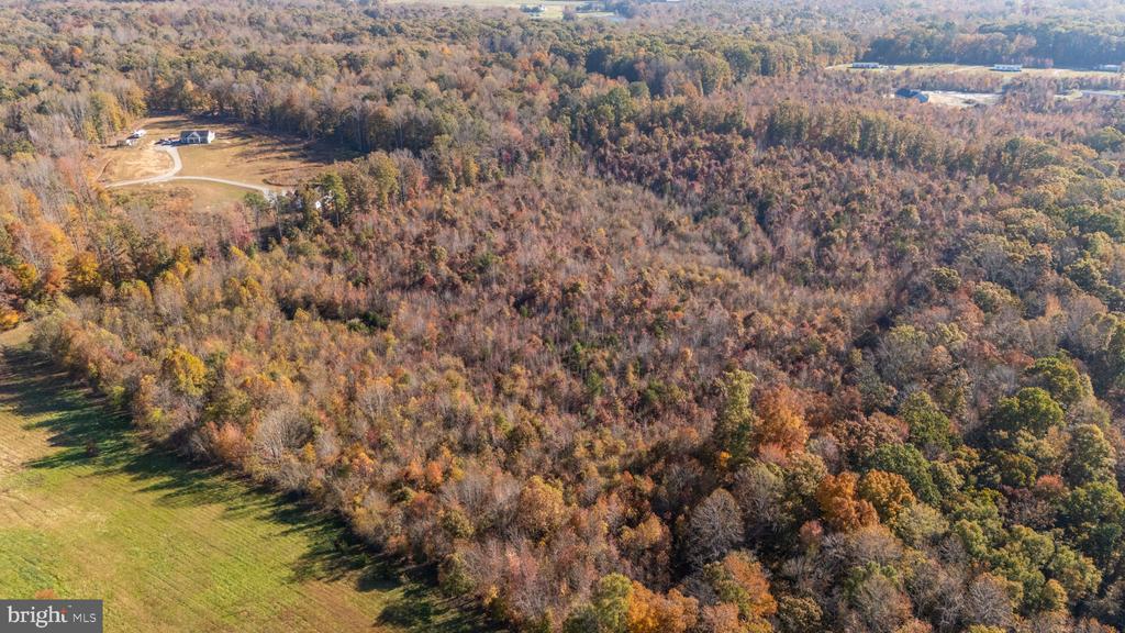 676 APPLE GROVE RD, MINERAL, Virginia 23117, 4 Bedrooms Bedrooms, ,2 BathroomsBathrooms,Residential,676 APPLE GROVE RD,VALA2006762 MLS # VALA2006762