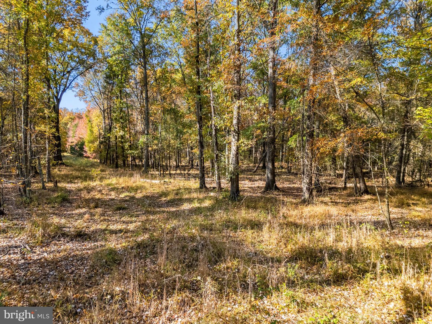 4184 CHRISTOPHER WAY, NOKESVILLE, Virginia 20181, ,Land,For sale,4184 CHRISTOPHER WAY,VAFQ2014550 MLS # VAFQ2014550