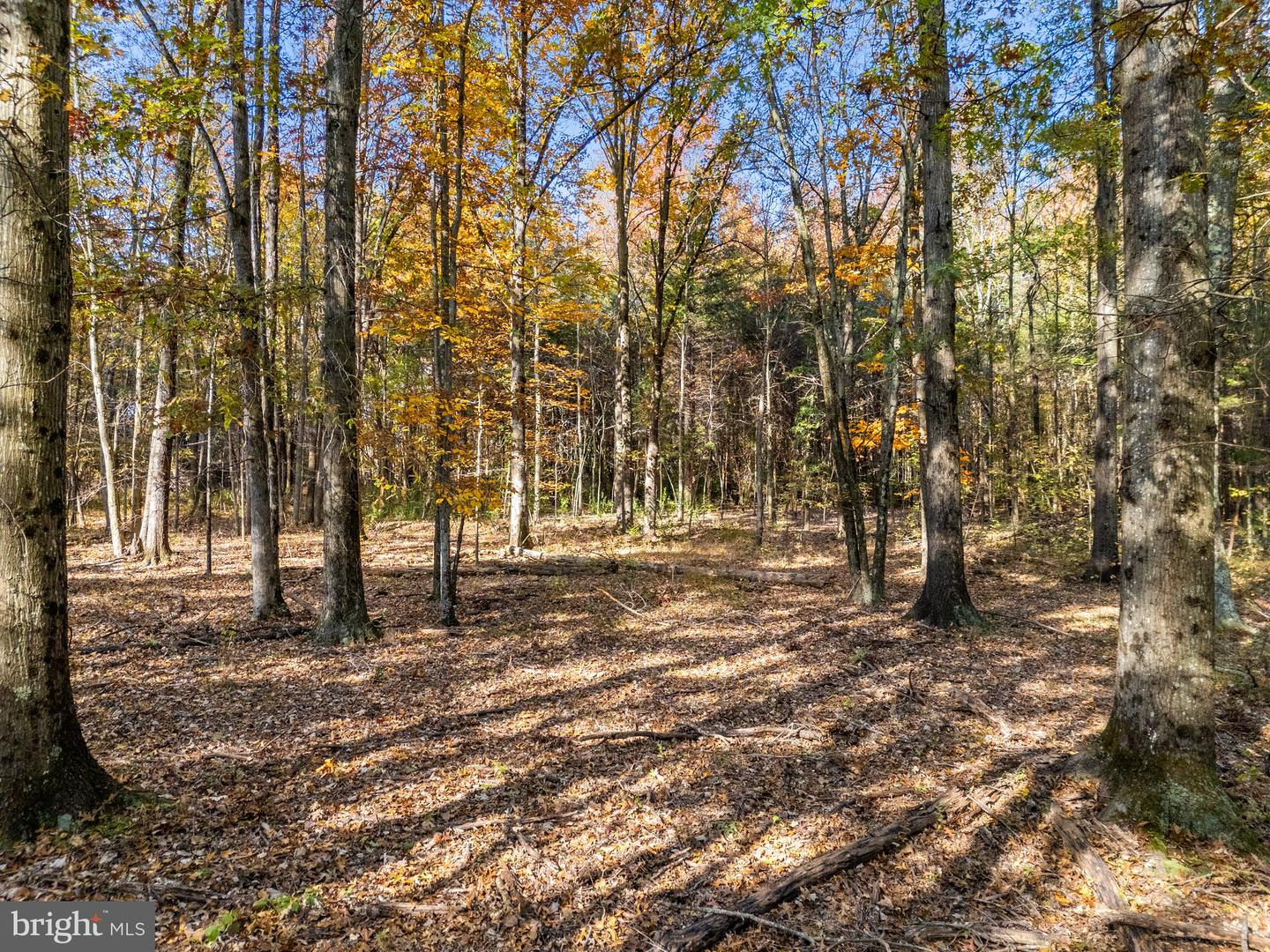 4184 CHRISTOPHER WAY, NOKESVILLE, Virginia 20181, ,Land,For sale,4184 CHRISTOPHER WAY,VAFQ2014550 MLS # VAFQ2014550