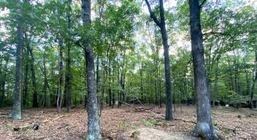 0 ACORN DR N, CROSS JUNCTION, Virginia 22625, ,Land,For sale,0 ACORN DR N,VAFV2022612 MLS # VAFV2022612