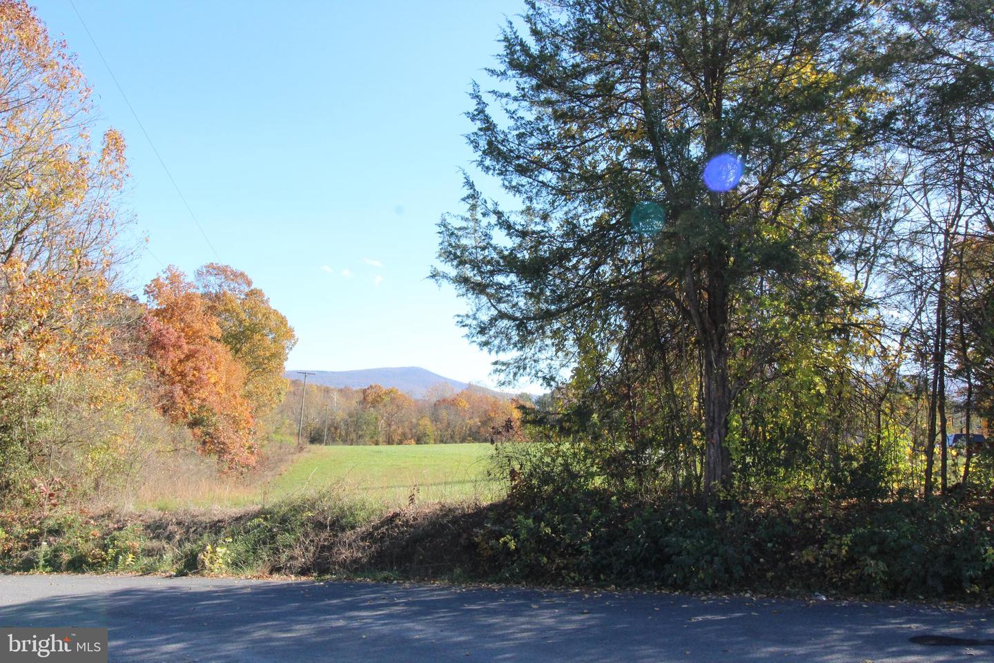 TBD WINDSOR KNIT ROAD, EDINBURG, Virginia 22824, ,Land,For sale,TBD WINDSOR KNIT ROAD,VASH2009994 MLS # VASH2009994