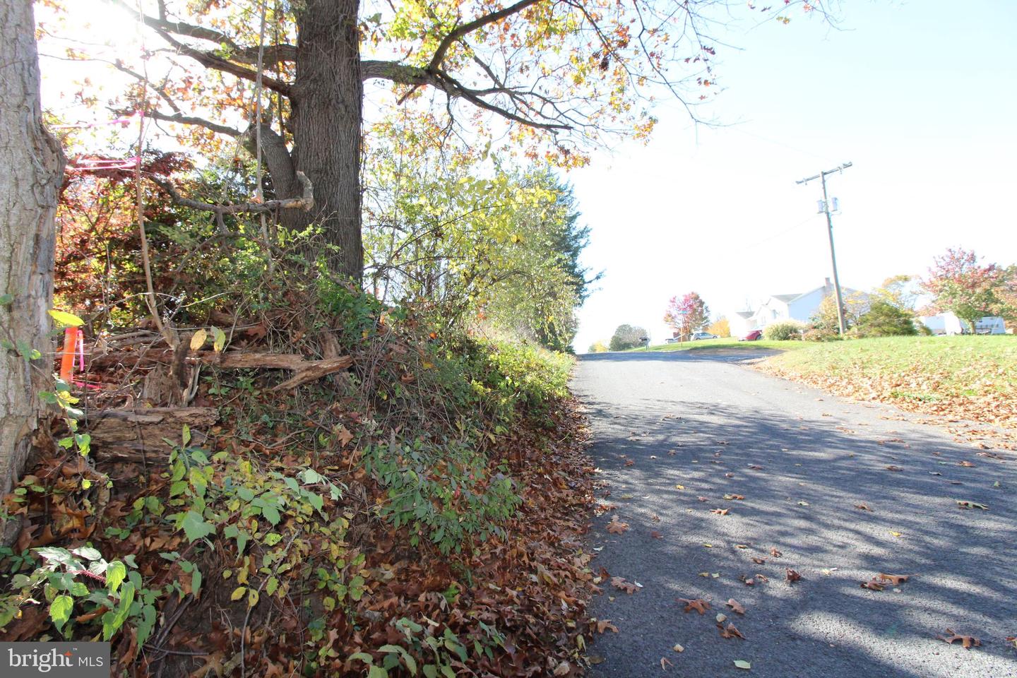 TBD WINDSOR KNIT ROAD, EDINBURG, Virginia 22824, ,Land,For sale,TBD WINDSOR KNIT ROAD,VASH2009994 MLS # VASH2009994