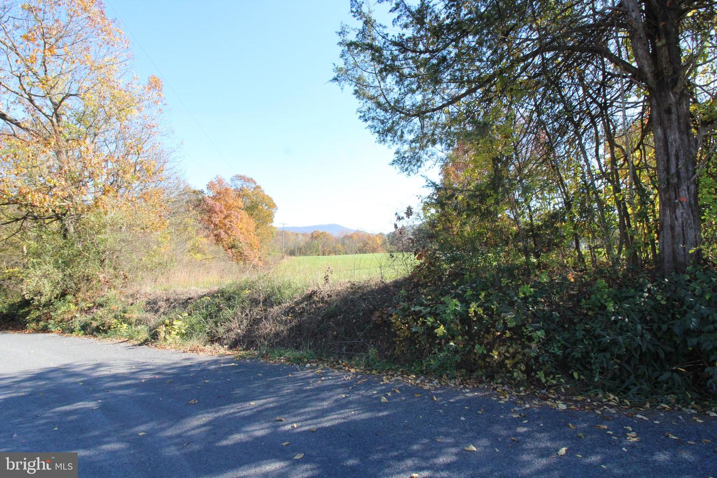 TBD WINDSOR KNIT ROAD, EDINBURG, Virginia 22824, ,Land,For sale,TBD WINDSOR KNIT ROAD,VASH2009994 MLS # VASH2009994