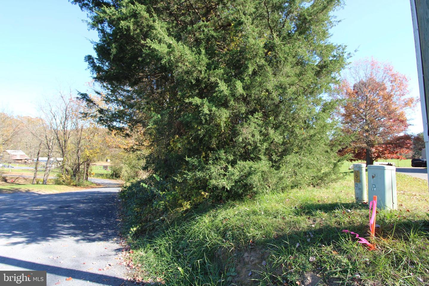 TBD WINDSOR KNIT ROAD, EDINBURG, Virginia 22824, ,Land,For sale,TBD WINDSOR KNIT ROAD,VASH2009994 MLS # VASH2009994