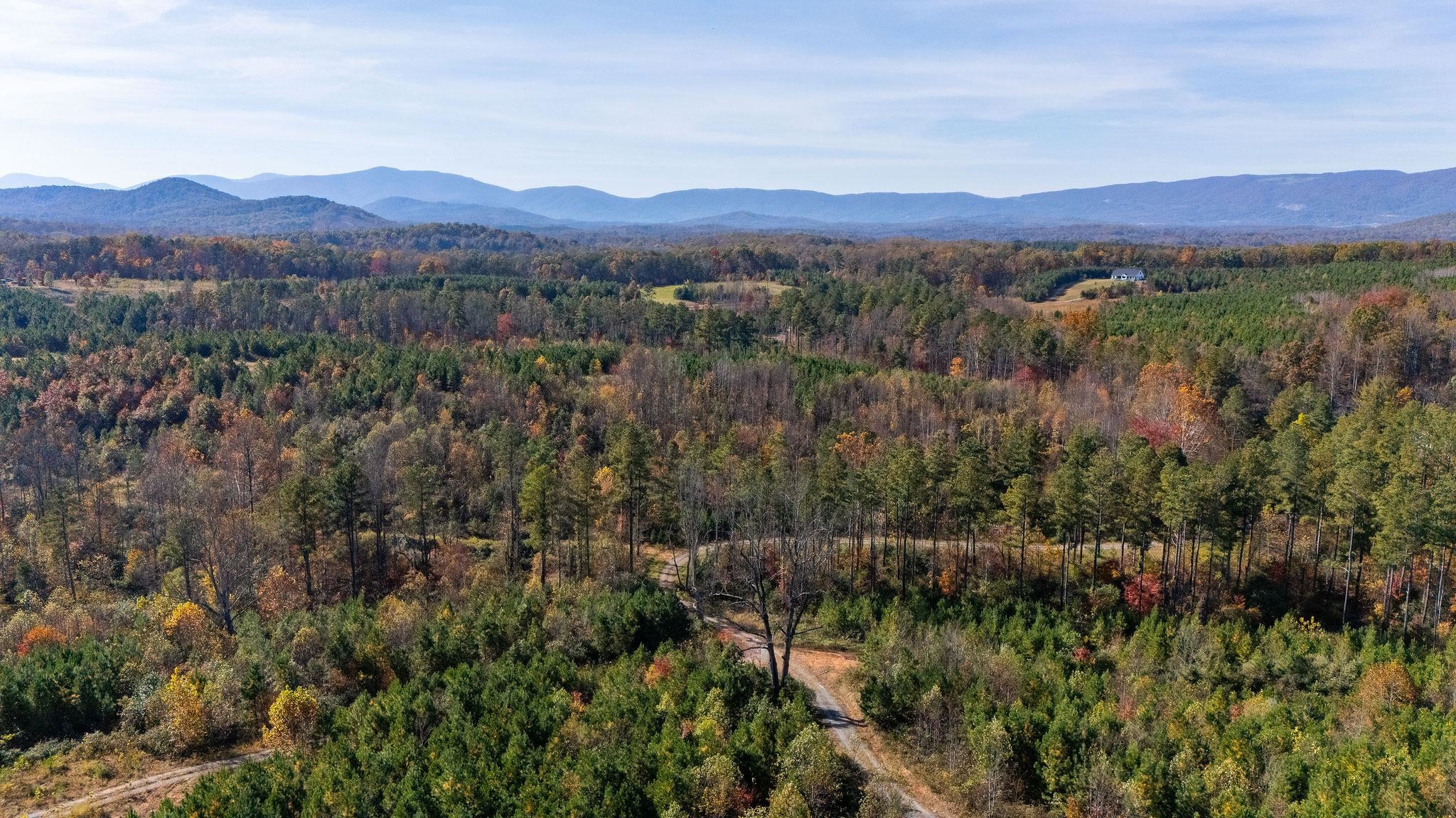 TBD POUNDING CREEK RD, CHARLOTTESVILLE, Virginia 22903, ,Land,TBD POUNDING CREEK RD,658398 MLS # 658398