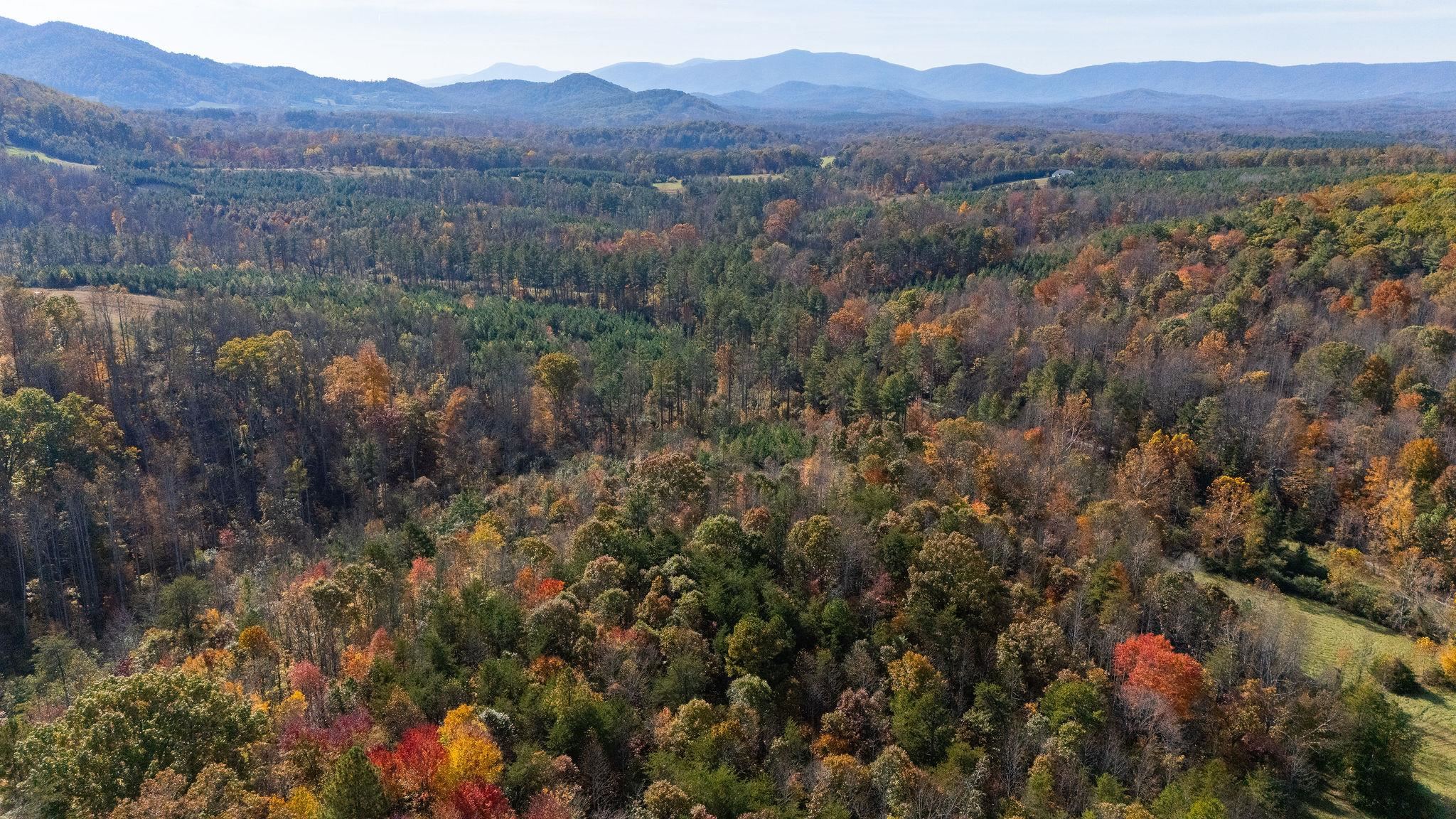 TBD POUNDING CREEK RD, CHARLOTTESVILLE, Virginia 22903, ,Land,TBD POUNDING CREEK RD,658398 MLS # 658398