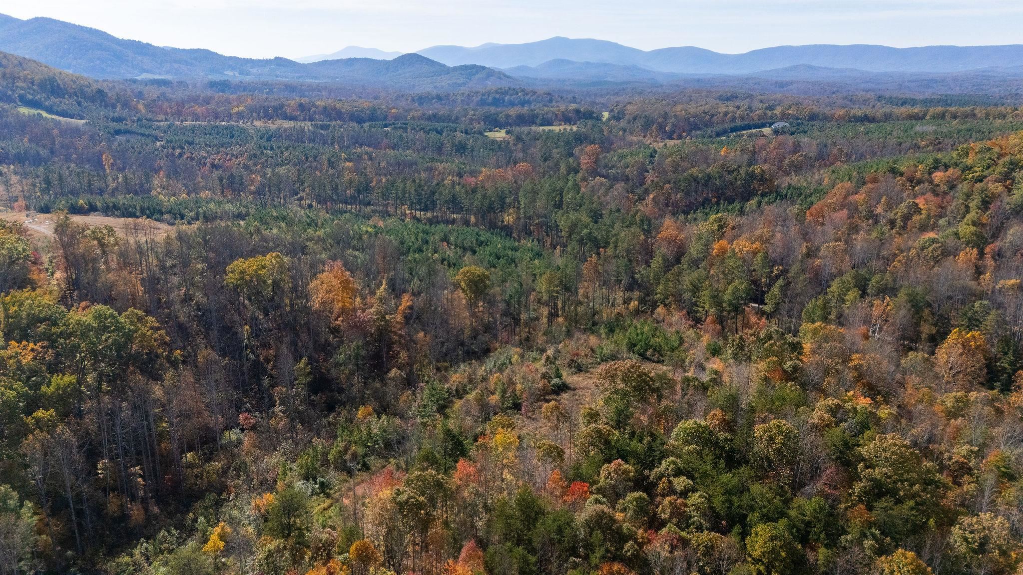 TBD POUNDING CREEK RD, CHARLOTTESVILLE, Virginia 22903, ,Land,TBD POUNDING CREEK RD,658398 MLS # 658398