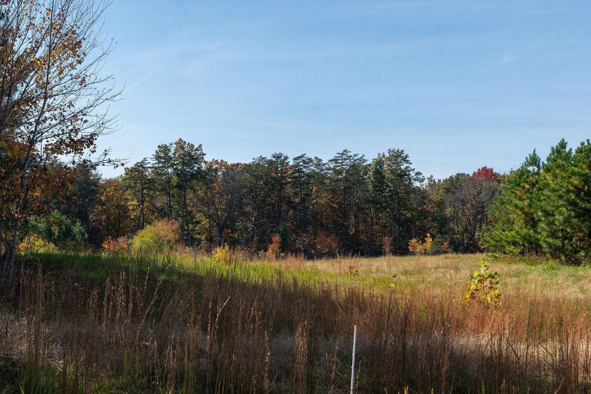 TBD POUNDING CREEK RD, CHARLOTTESVILLE, Virginia 22903, ,Land,TBD POUNDING CREEK RD,658398 MLS # 658398