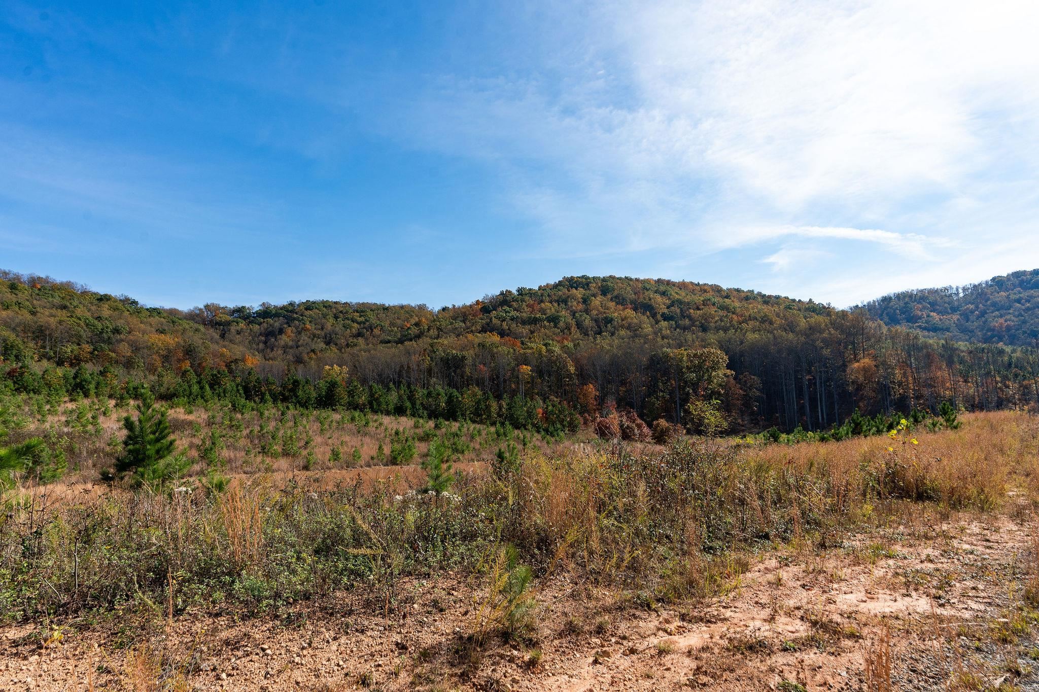 TBD POUNDING CREEK RD, CHARLOTTESVILLE, Virginia 22903, ,Land,TBD POUNDING CREEK RD,658398 MLS # 658398