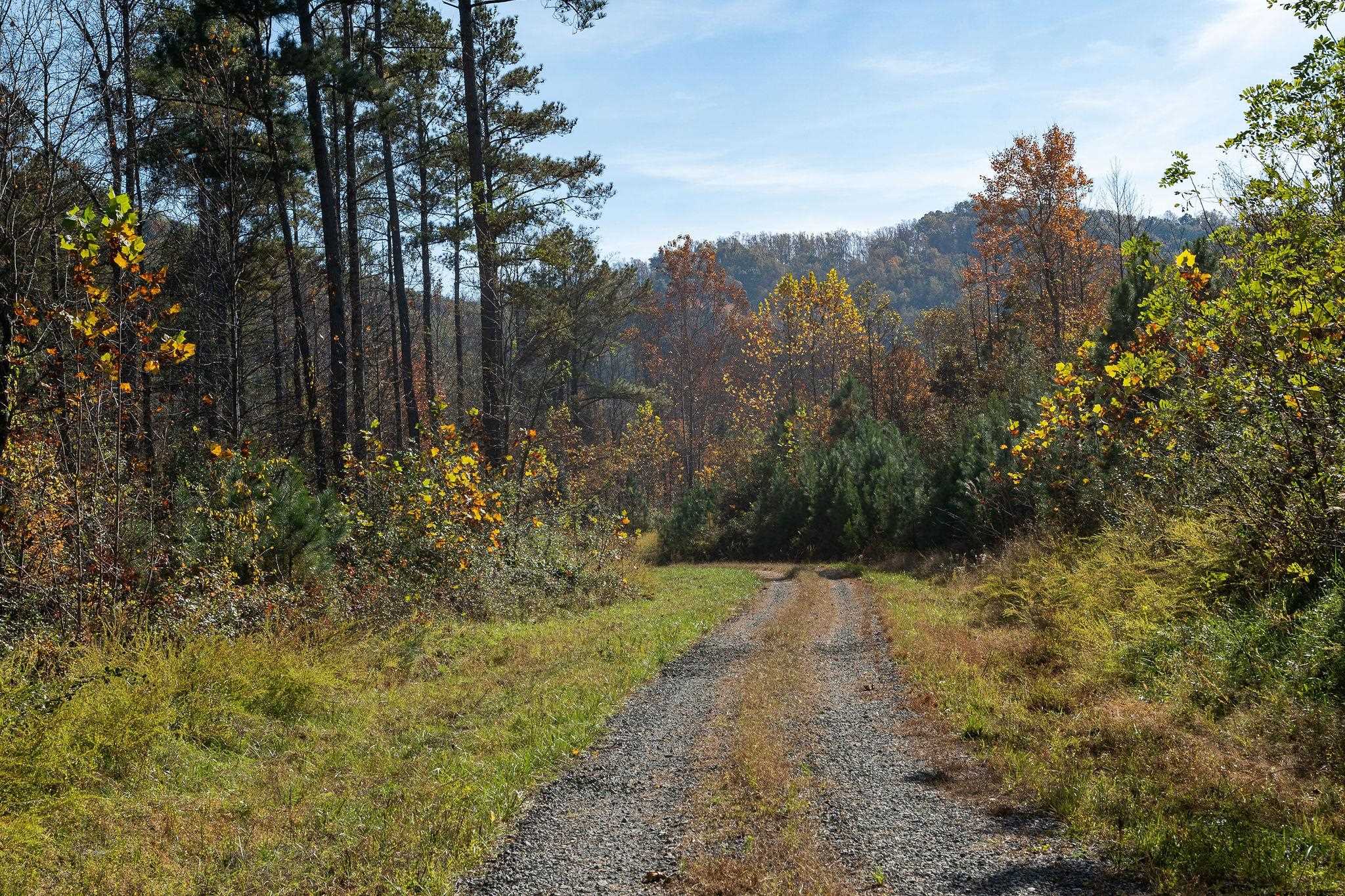 TBD POUNDING CREEK RD, CHARLOTTESVILLE, Virginia 22903, ,Land,TBD POUNDING CREEK RD,658398 MLS # 658398