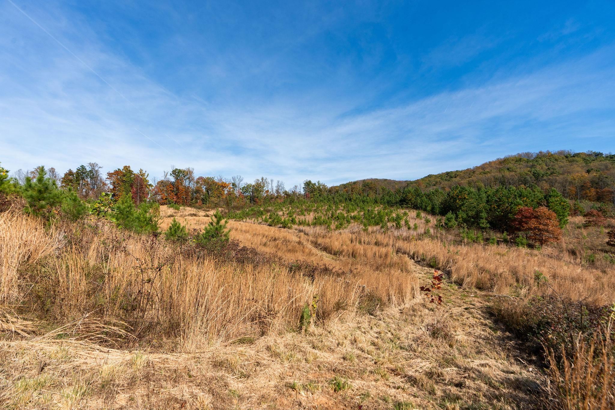 TBD POUNDING CREEK RD, CHARLOTTESVILLE, Virginia 22903, ,Land,TBD POUNDING CREEK RD,658398 MLS # 658398