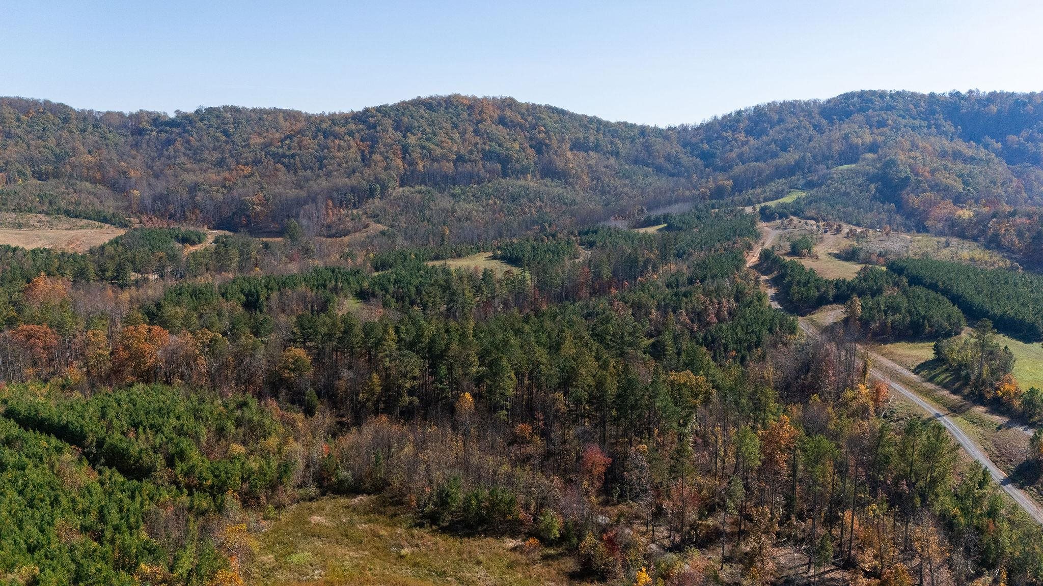 TBD POUNDING CREEK RD, CHARLOTTESVILLE, Virginia 22903, ,Land,TBD POUNDING CREEK RD,658398 MLS # 658398