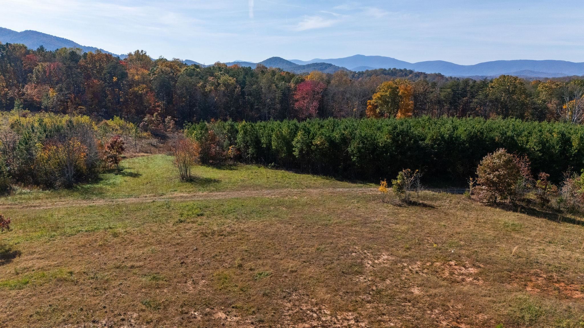 TBD POUNDING CREEK RD, CHARLOTTESVILLE, Virginia 22903, ,Land,TBD POUNDING CREEK RD,658398 MLS # 658398