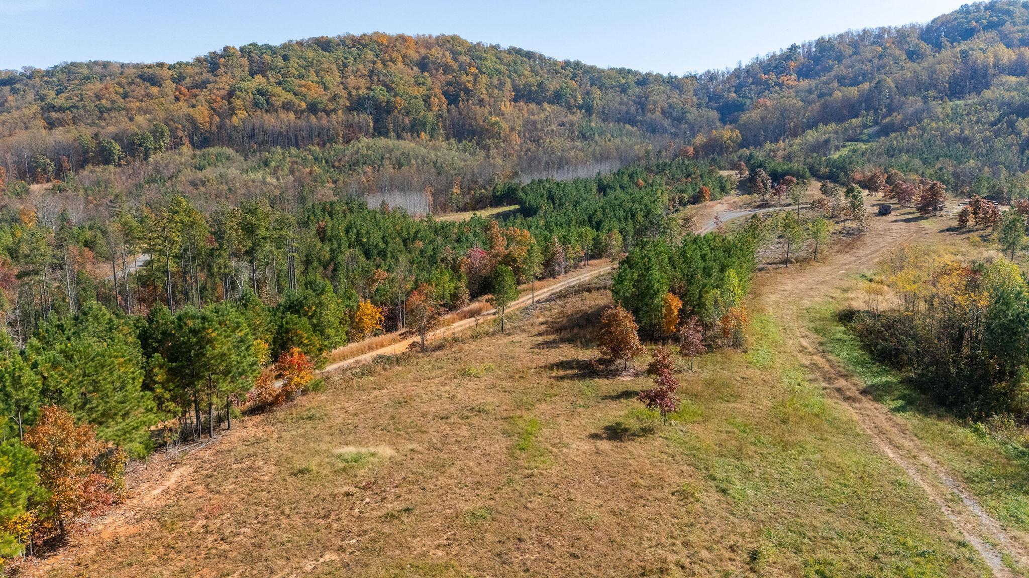 TBD POUNDING CREEK RD, CHARLOTTESVILLE, Virginia 22903, ,Land,TBD POUNDING CREEK RD,658398 MLS # 658398