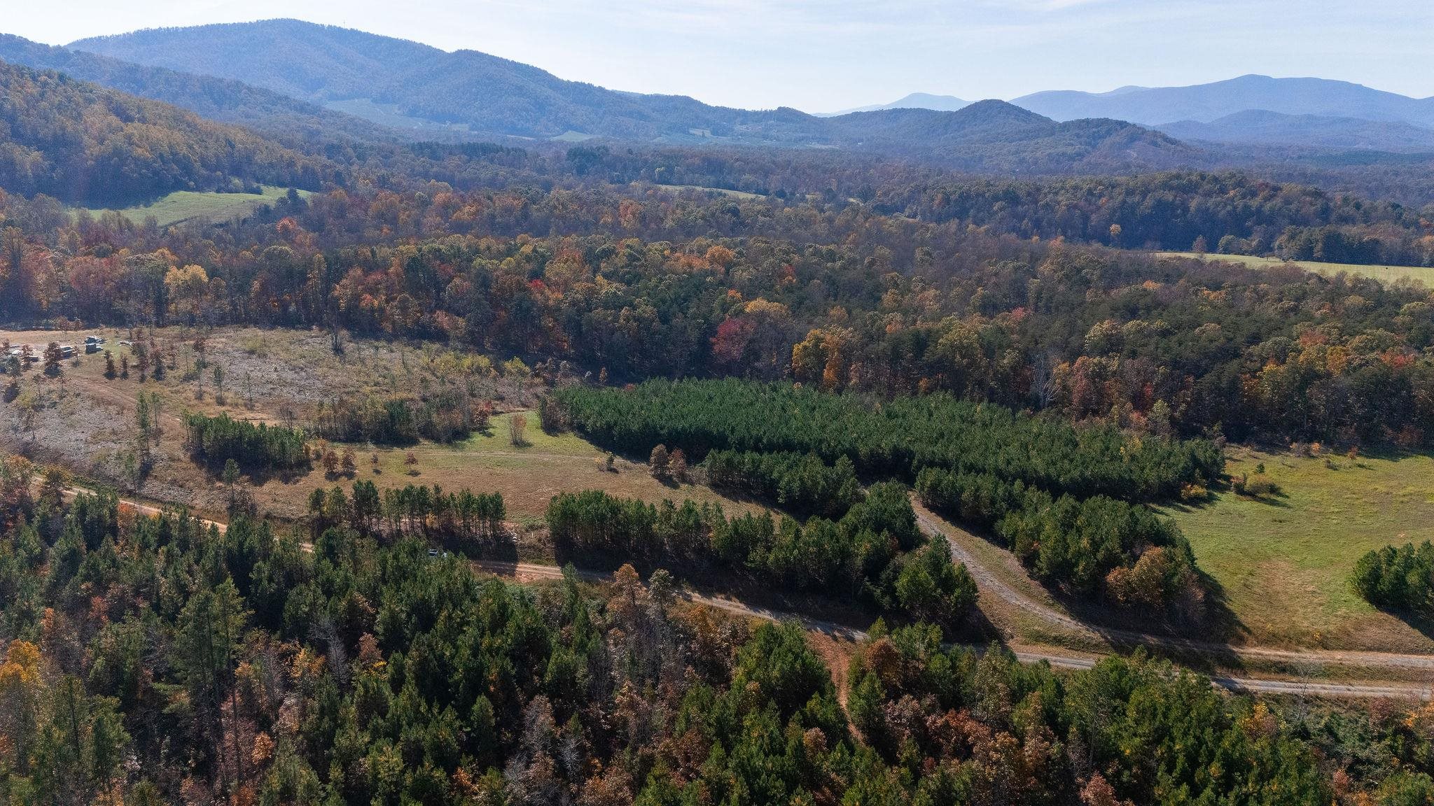 TBD POUNDING CREEK RD, CHARLOTTESVILLE, Virginia 22903, ,Land,TBD POUNDING CREEK RD,658398 MLS # 658398