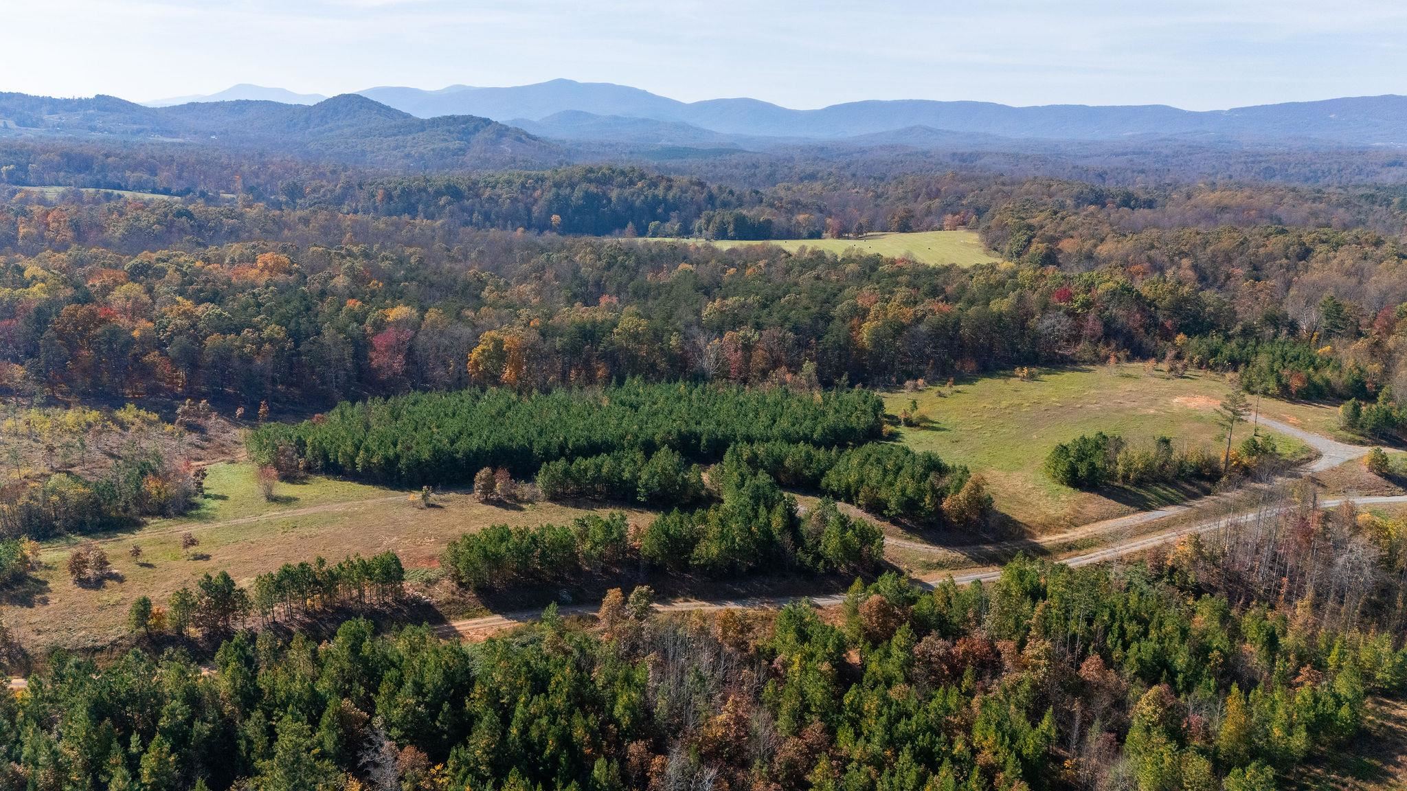 TBD POUNDING CREEK RD, CHARLOTTESVILLE, Virginia 22903, ,Land,TBD POUNDING CREEK RD,658398 MLS # 658398