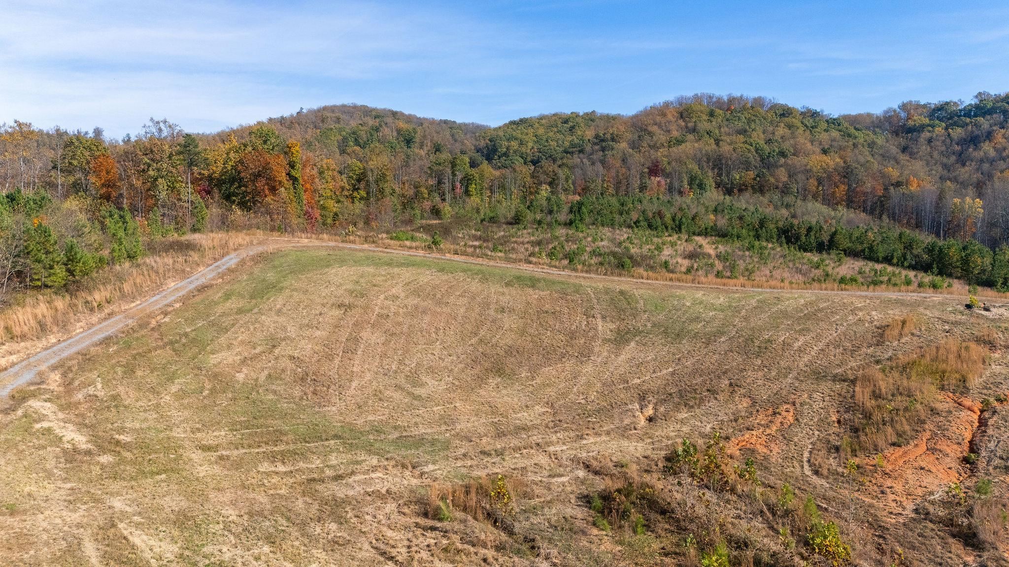 TBD POUNDING CREEK RD, CHARLOTTESVILLE, Virginia 22903, ,Land,TBD POUNDING CREEK RD,658398 MLS # 658398